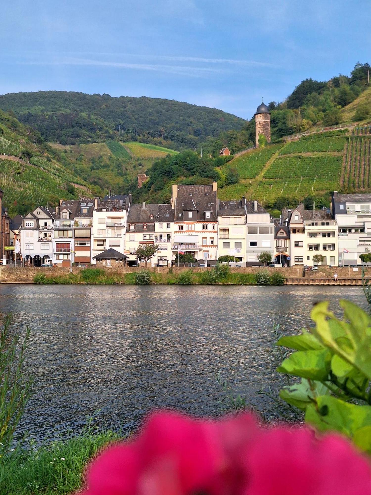 Mosel View Old Town Apartments Zell an der Mosel Ngoại thất bức ảnh