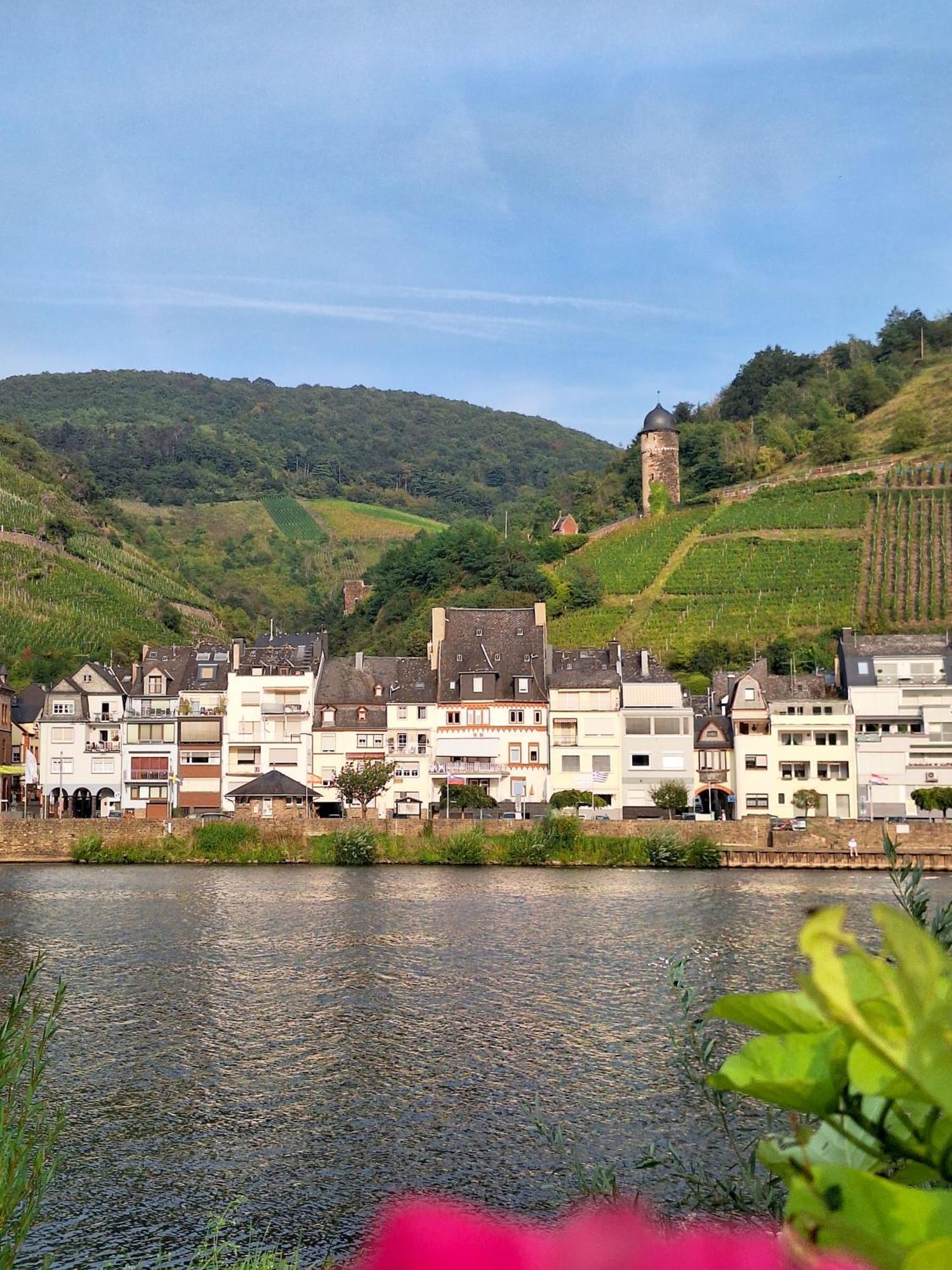 Mosel View Old Town Apartments Zell an der Mosel Ngoại thất bức ảnh