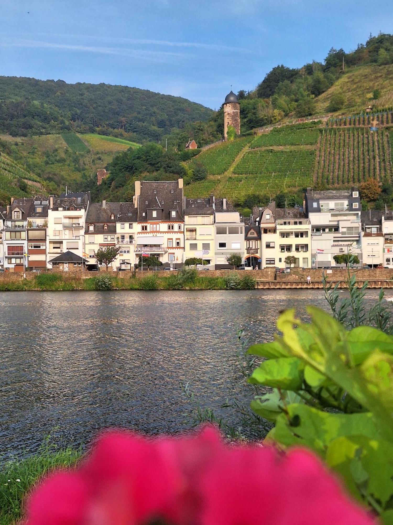 Mosel View Old Town Apartments Zell an der Mosel Ngoại thất bức ảnh